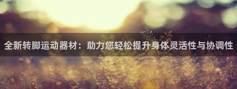 fb体育代理：全新转脚运动器材：助力您轻松提升身体灵