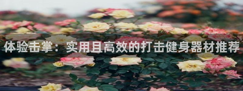fb体育平台APP：体验击掌：实用且高效的打击健身器