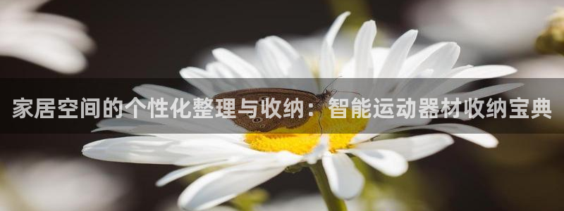 fb体育招商电话地址：家居空间的个性化整理与收纳：智