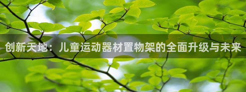 fb体育平台是正规平台吗：创新天地：儿童运动器材置物