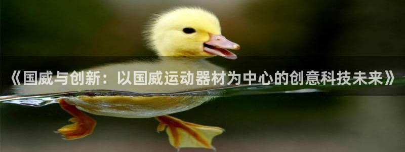 fb体育招商电话地址是多少：《国威与创新：以国威运动