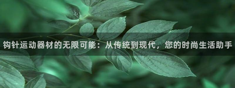 fb体育集团官网首页网址：钩针运动器材的无限可能：从