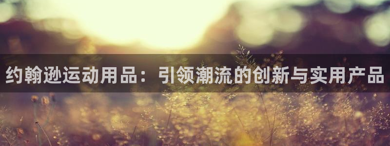 fb体育娱乐40996：约翰逊运动用品：引领潮流的创
