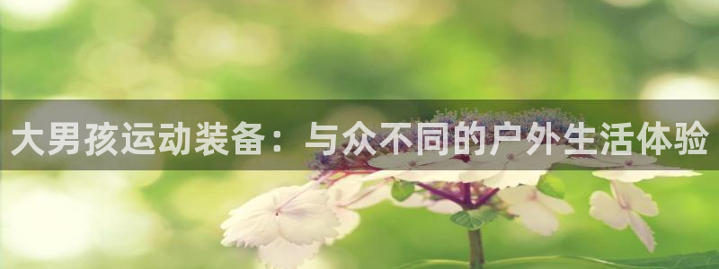 fb体育娱乐40996：大男孩运动装备：与众不同的户