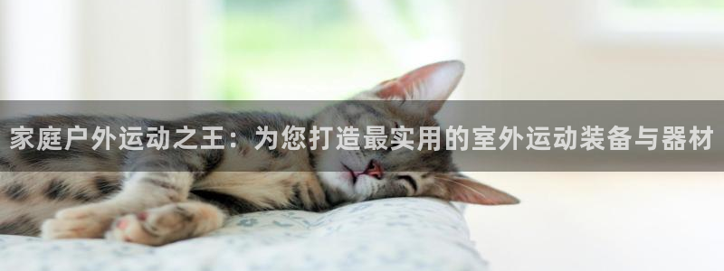 fb体育平台是正规平台吗知乎：家庭户外运动之王：为您打造最实