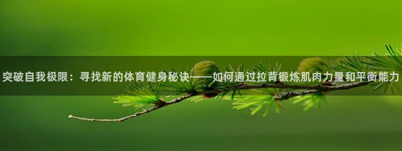 fb体育娱乐代理怎么样：突破自我极限：寻找新的体育健