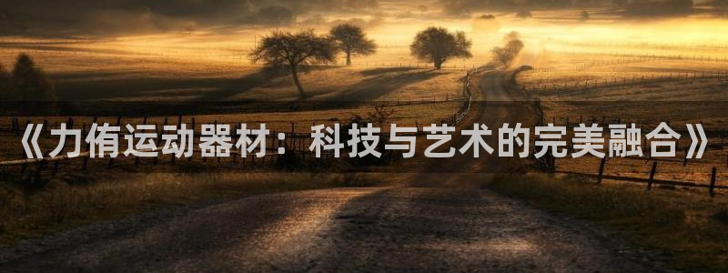 fb体育招商电话号码查询：《力侑运动器材：科技与艺术