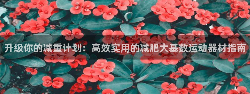 fb体育平台是正规平台吗安全吗：升级你的减重计划：高效实用的