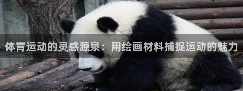 fb体育招商电话地址：体育运动的灵感源泉：用绘画材料捕捉运动