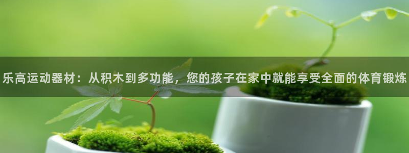 fb体育招商电话地址查询：乐高运动器材：从积木到多功能，您的