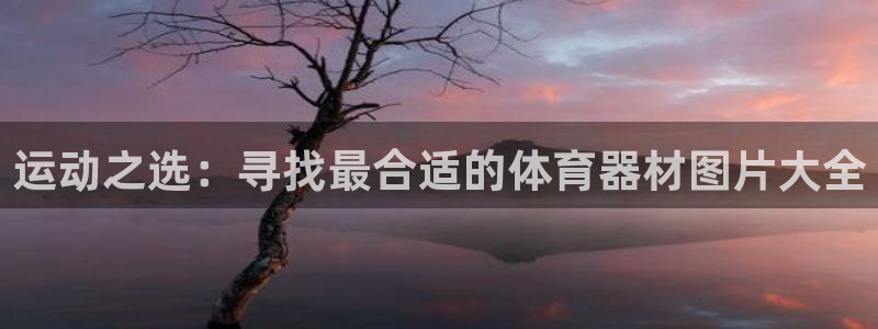 fb体育神州：运动之选：寻找最合适的体育器材图片大全